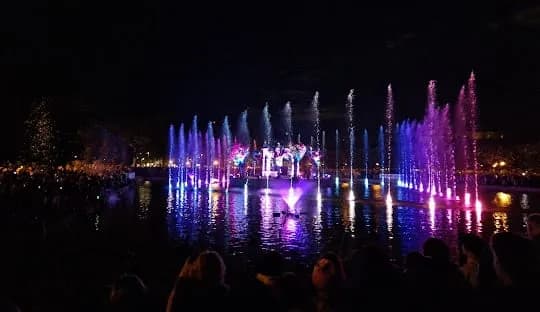 Night Lights and Celebration