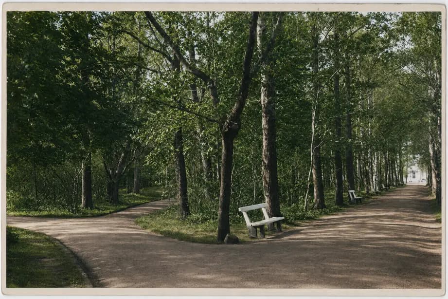 Pärnu